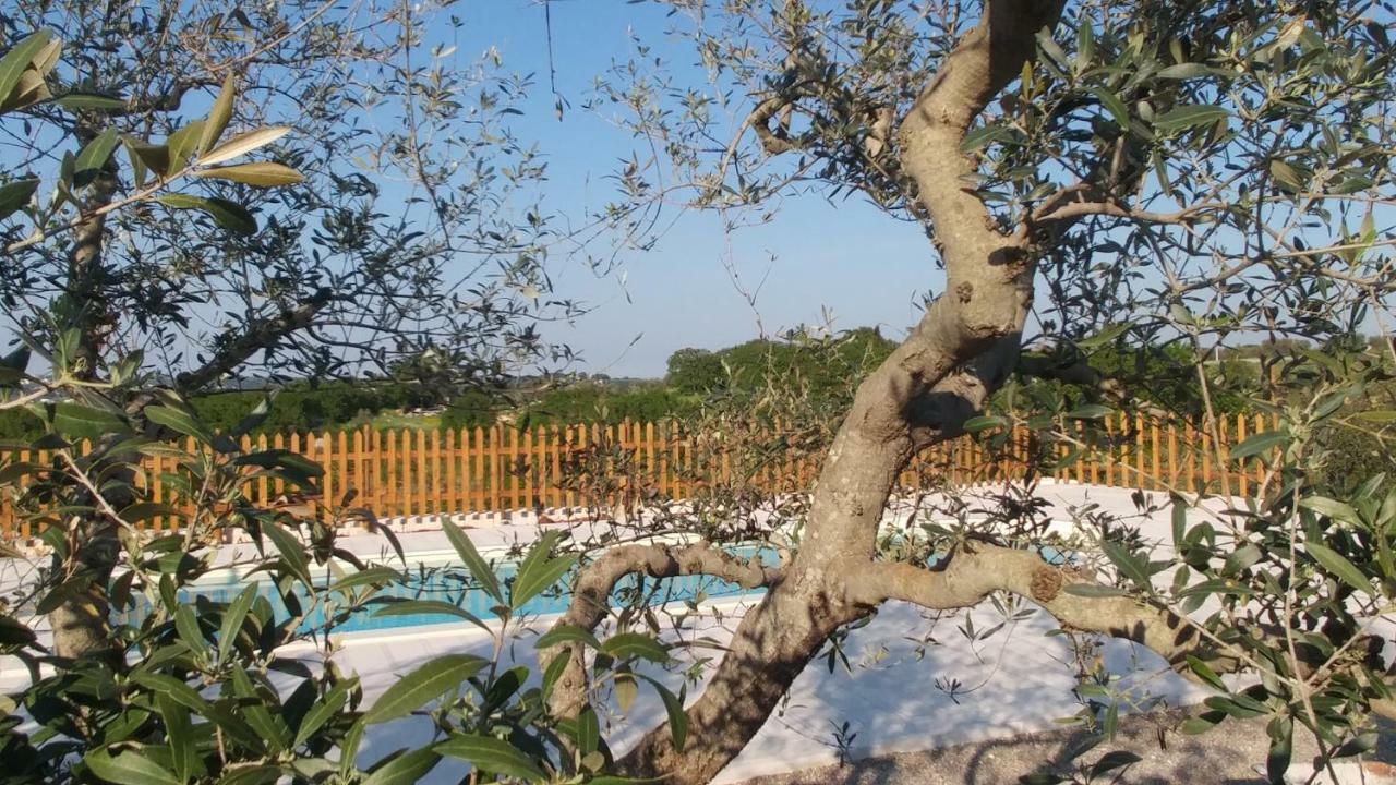Il Carpino Villa Martina Franca Ngoại thất bức ảnh
