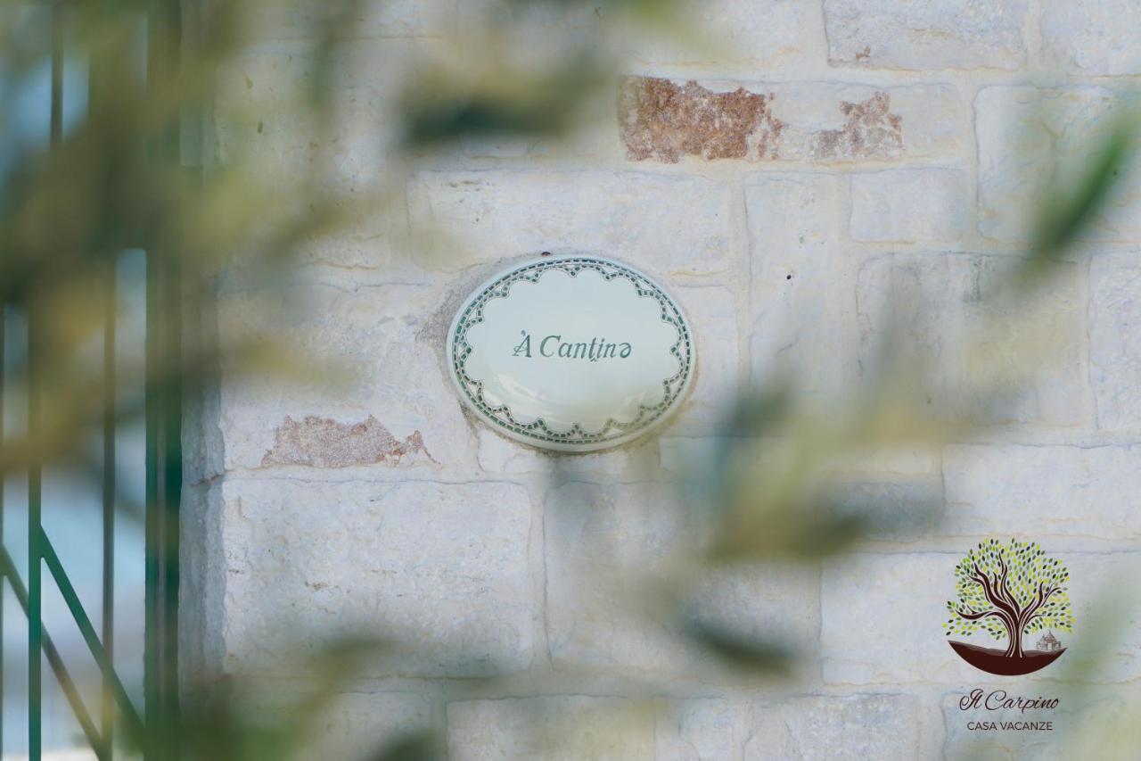 Il Carpino Villa Martina Franca Ngoại thất bức ảnh